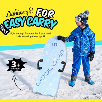 Blaue Schneeschlitten mit zwei Griffe Leichtgewicht und robust PE-Kerndesign