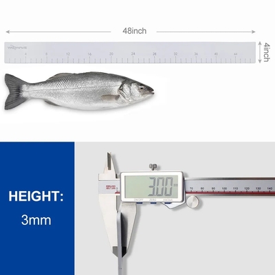 Bootsaccessoires Wesentliche EVA-Fischruler mit Klebstoffrücken genaue Messungen